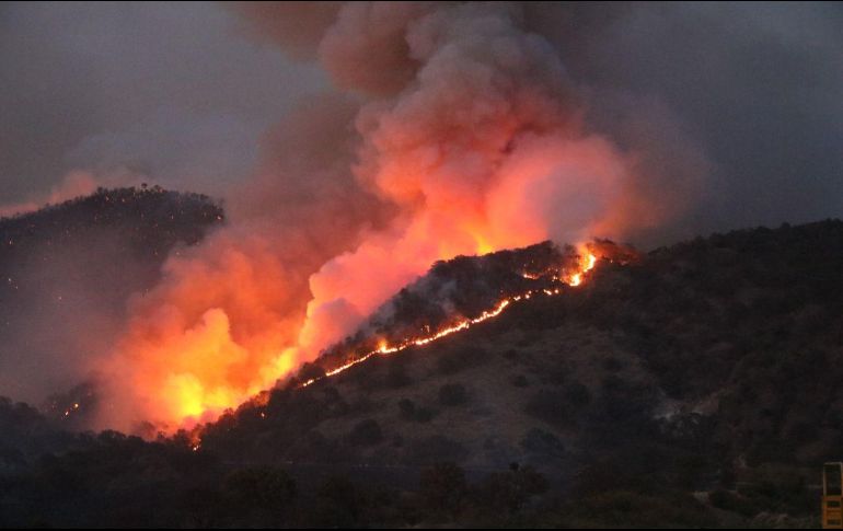 El fuego se desató la tarde de ayer en una zona ubicada en los límites de Tala y Zapopan, cercana al poblado de Cuxpala. ESPECIAL/Protección Civil Zapopan