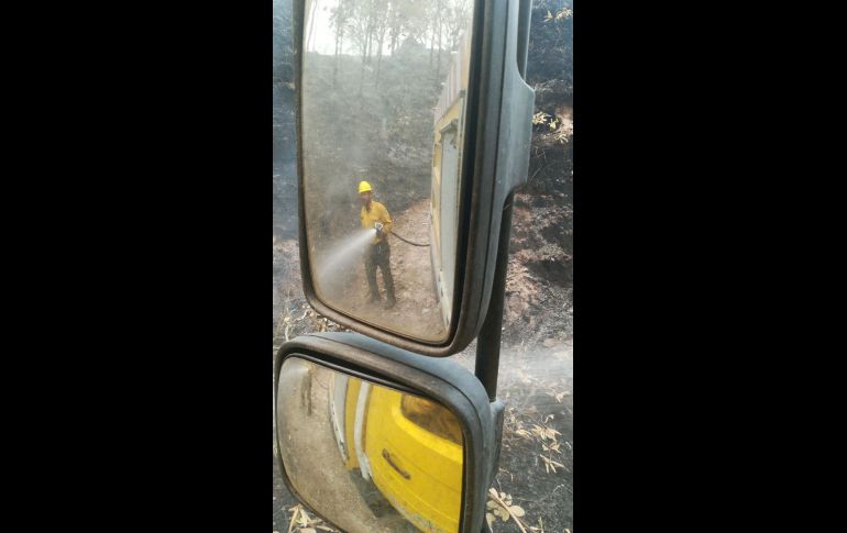 Participan brigadas de la Secretaría de Medio Ambiente y Desarrollo Territorial, Protección Civil y Bomberos estatal y de Zapopan, Organismo Público Descentralizado (OPD) Bosque de La Primavera y Comisión Nacional Forestal. TWITTER@CONAFOR