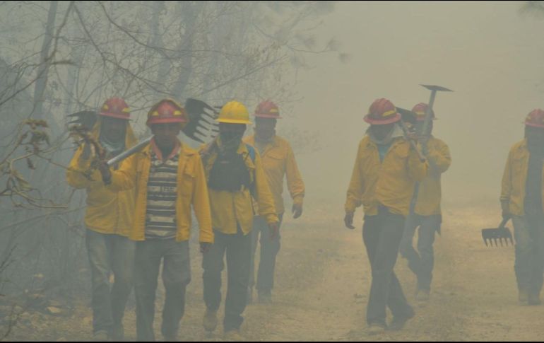 Se determinó que este es el incendio con mayor magnitud en los últimos seis años. ESPECIAL