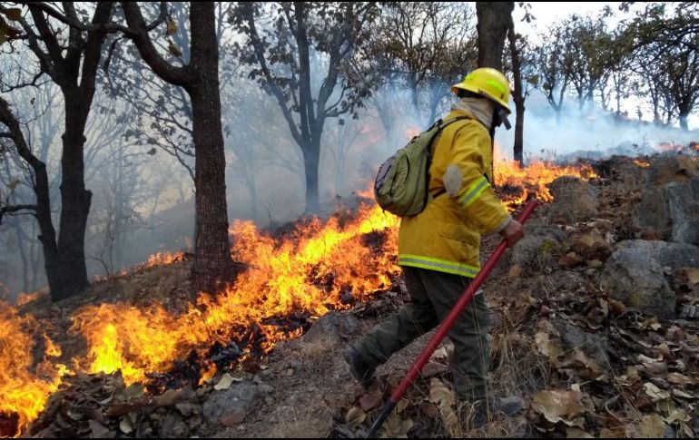 Autoridades recomiendan a la población no brindar apoyo a las corporaciones para el combate del incendio ya que podría ser peligroso, así como evitar rumores sobre el hecho. ESPECIAL/