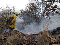 El polígono de emergencia atmosférica comprende un radio de seis kilómetros a partir de los límites del bosque dentro Zapopan, Tlaquepaque, Tlajomulco y la cabecera municipal de Tala. TWITTER / @PCJalisco