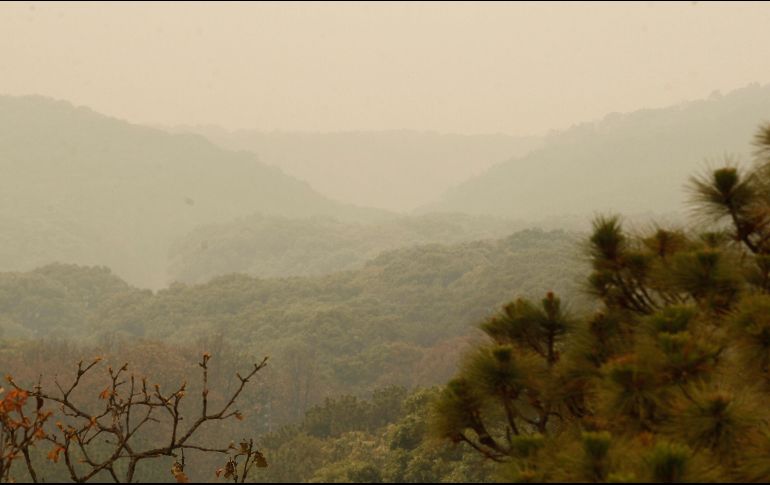 Hasta el momento, el incendio ha afectado dos mil hectáreas de la superficie del Bosque. EL INFORMADOR / ARCHIVO