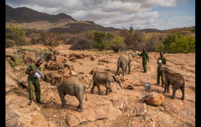 De la serie del primer premio de 
