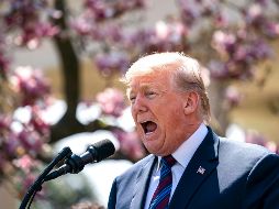 Donald anunció decisiones 