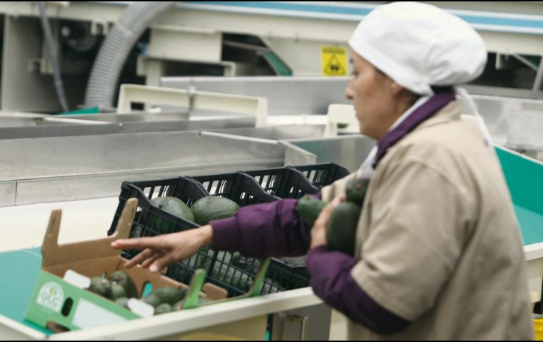 Sector productivo. Las empresas confían en que en unas cuantas semanas habrá un acuerdo preliminar del TLCAN. EL INFORMADOR/ARCHIVO