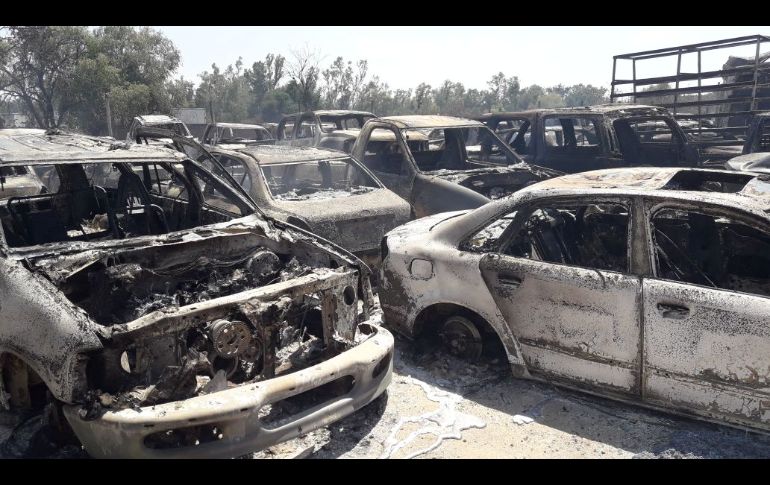 TWITTER@PCTlaquepaque