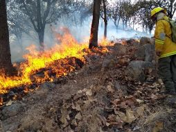 Jalisco alcanza la tercera posición a nivel nacional en hectáreas dañadas, superado por Guerrero y Oaxaca. ESPECIAL/ ARCHIVO