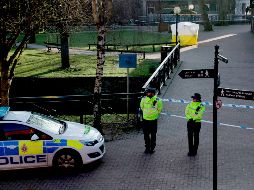 Reiteran que la limpieza, previamente analizada, tardará varios meses.  AP / M. Dunham