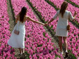 El mundo en imágenes del 17 de abril de 2018