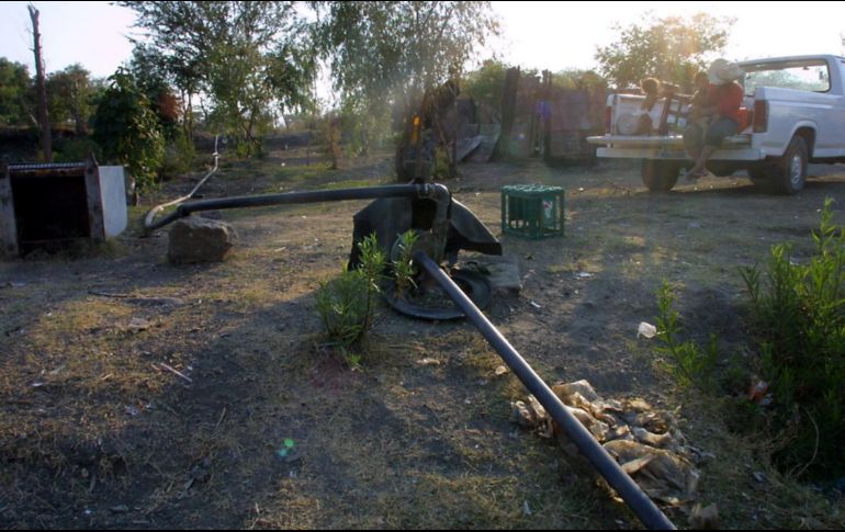 Señaló que los Ministerios Públicos de la Federación continúan con la integración de las carpetas de investigación. EL INFORMADOR/ ARCHIVO