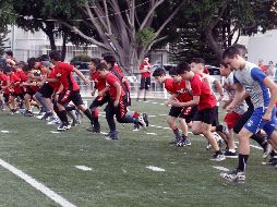 Durante dos horas los jóvenes talentos presumieron sus mejores patadas, en tanto que familiares y amigos les brindaron toda la motivación para destacar. EL INFORMADOR / M. Vargas