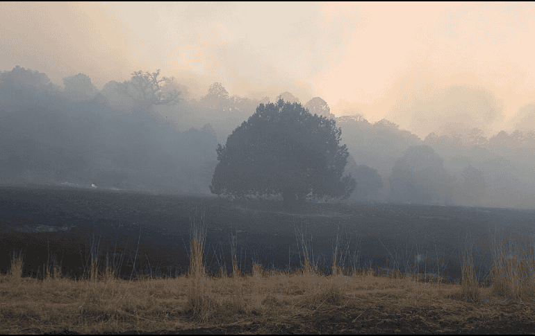La Coordinación Estatal de Protección Civil trabaja en conjunto con diferentes dependencias para evitar que el fuego logre llegar a las comunidades. TWITTER/ @PCreportedeldia