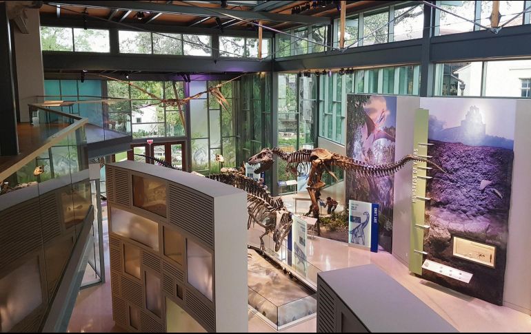 Los museos juegan un papel destacado en la oferta turística que tiene la ciudad para ti. EL INFORMADOR/ E. Esparza