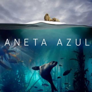 Radiohead musicaliza los océanos