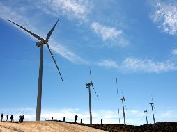 En 2019 iniciará la generación de energía en el parque eólico de Santa Rita, en Irion, Texas. NOTIMEX/Archivo