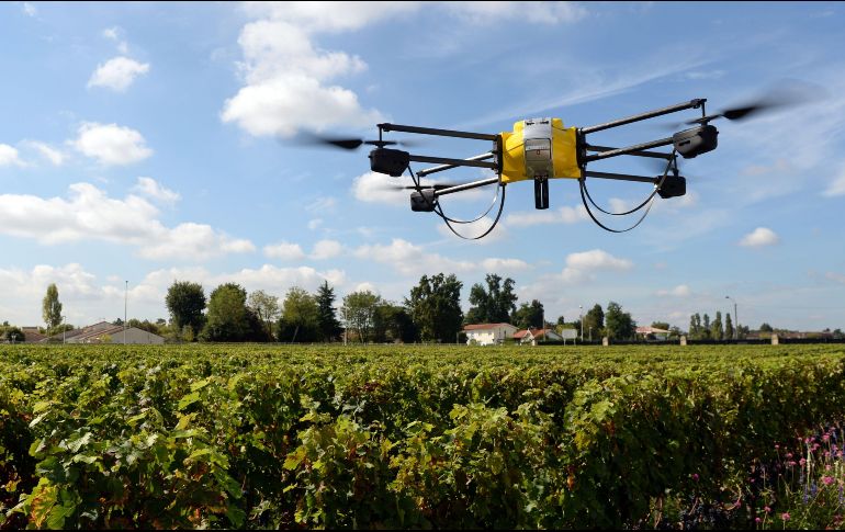 El ganador obtendrá 100 mil pesos para hacer un piloto de su proyecto en Jalisco. AFP/Archivo