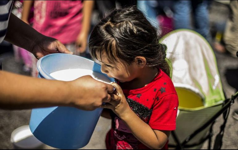 La FAO recomienda consumir medio litro de leche al día, y en México se consumen únicamente 370 mililitros en promedio diariamente por persona. EL INFORMADOR / ARCHIVO