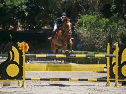 Prueba libre a 1.30 metros. Martín Alejandro Jiménez monta a “”Hechicero”, con quien finalizó en el tercer lugar ayer en el Guadalajara Jockey Club. EL INFORMADOR/F. Atilano