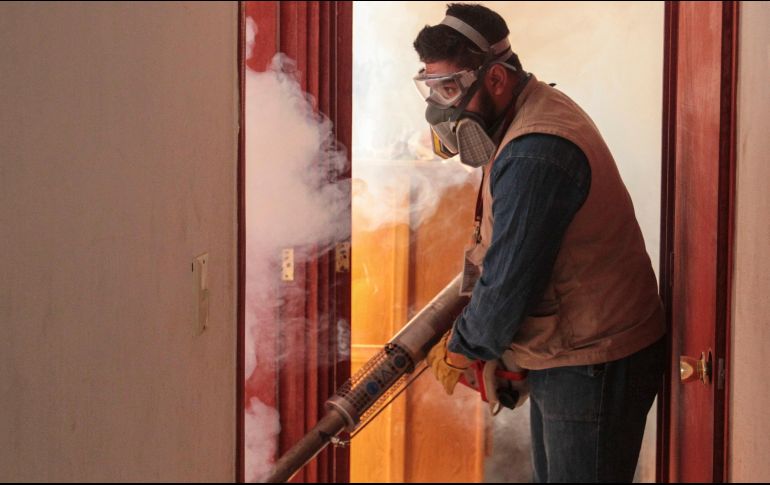 En época de calor, y ante la gran cantidad de agua estancada, la reproducción del mosquito transmisor aumenta. EL INFORMADOR/ARCHIVO