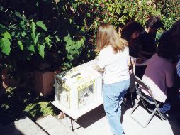 El Partido Revolucionario Institucional es el que más mujeres registró para encabezar una alcaldía. EL INFORMADOR/ARCHIVO