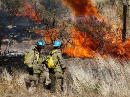 Autoridades exhortan a la población a extremar medidas de precaución para evitar la propagación del fuego en áreas boscosas durante esta temporada. SUN/ARCHIVO