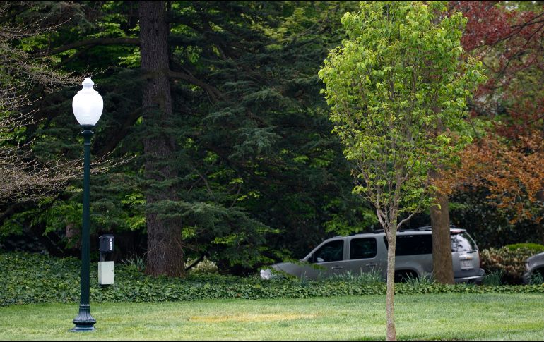 Fotografías de medios locales muestran un trozo de césped amarillento en el mismo lugar donde los mandatarios colocaron el árbol. AP / C. Kaster