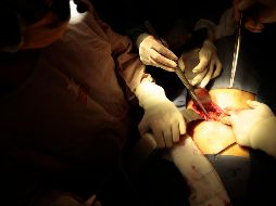 Los familiares tendrán la última palabra sobre los órganos. EL INFORMADOR/F. Atilano