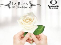 Aunque en el canal Las Estrellas, de Televisa, no tiene contenido para este grupo poblacional ocupa el primer lugar de rating entre los niños,FACEBOOK/La Rosa de Guadalupe