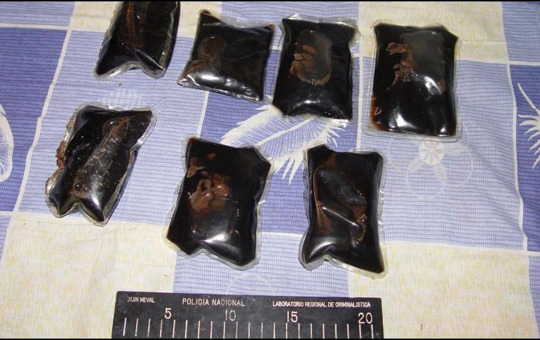 De ser condenado, López enfrenta una pena mínima de 10 años de cárcel y una máxima de cadena perpetua por el delito. AFP / ESPECIAL