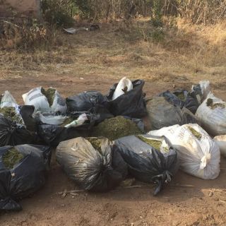 Decomisan más de 400 kilos de mariguana en Hostotipaquillo