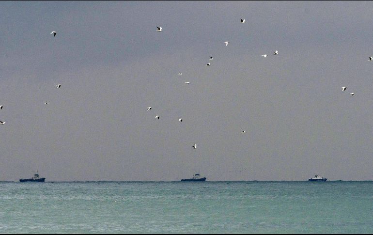 Autoridades comenzaron con la búsqueda del aparato, de cuyo accidente no se conocen mayores datos. EFE/ARCHIVO