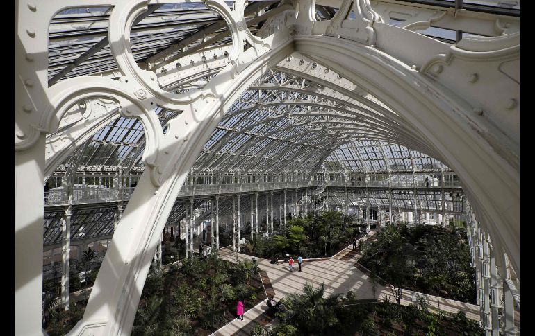 Vista interior del invernadero 