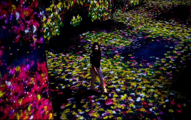 Una sala de flores. AFP/B. Mehri
