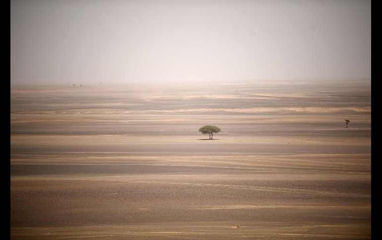 Dunas en el desierto de Merzouga, en Marruecos, donde se realiza la carrera ciclista 