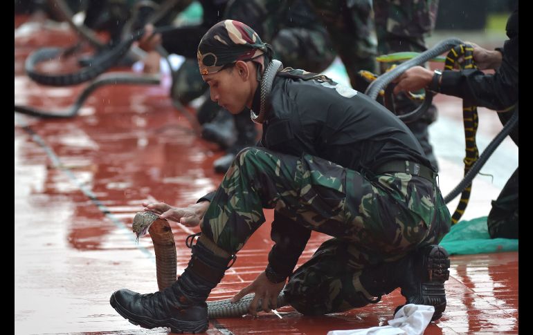 Soldados hacen una demostración de sus habilidades en las instalaciones militares en Yakarta, Indonesia, en el marco de una visita del presidente indonesio y del sultán de Brunei. AFP/A. Berry