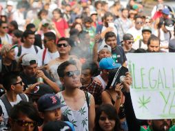 Muchos de los manifestantes plantean los beneficios medicinales de la mariguana como argumento para su legalización. EL INFORMADOR / R. Bobadilla