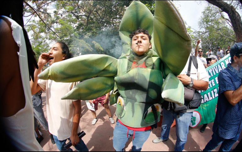 Muchos de los manifestantes plantean los beneficios medicinales de la mariguana como argumento para su legalización. EL INFORMADOR / R. Bobadilla