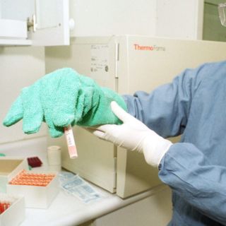 Niña recibe trasplante de médula ósea en Coahuila