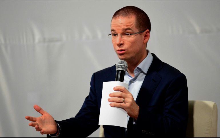 El panista expresa que con la amnistía no se acabará la inseguridad y la falta de justicia.  AFP / R. Schemidt