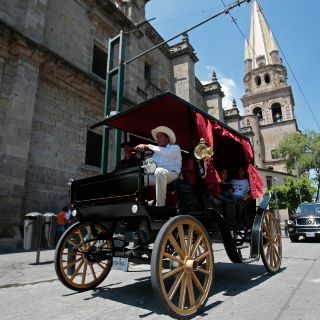 Entran en circulación las primeras calandrias eléctricas