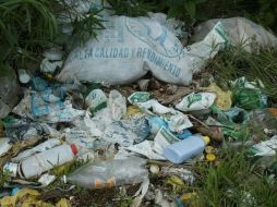 Los deshechos de plástico en el océano matan a millones de aves y mamíferos. EL INFORMADOR / ARCHIVO