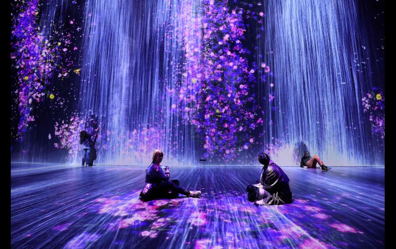 Personas disfrutan el despliegue del show Teamlab, una obra interactiva digital creada por un grupo interdisciplinario de artistas, ingenieros, creadores 3D, matemáticos, arquitectos y diseñadores web en el teatro Grande Halle de la Vilette de París. AFP / L. Marin
