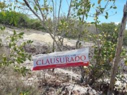 “Departamentos Grip Holbox” habría desmontado una superficie de mil 128 metros cuadrados de vegetación. TWITTER/ @PROFEPA_Mx