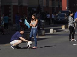 Varias personas desalojan sus viviendas en Ciudad de México tras el temblor de esta mañana. EFE / S. Gutiérrez