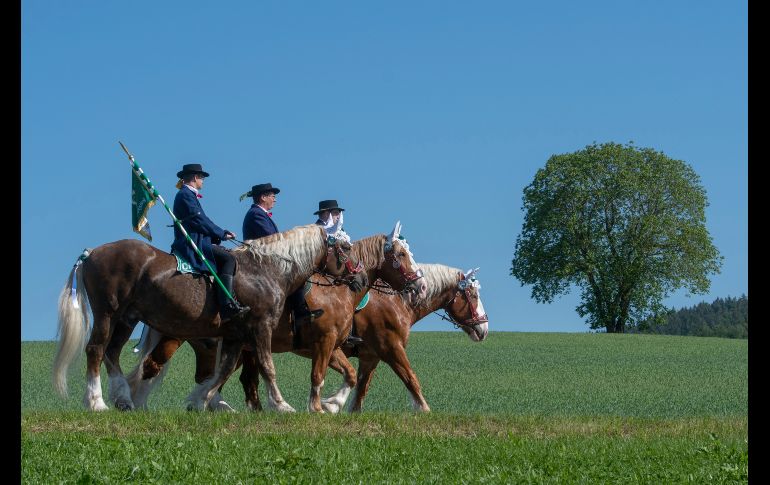 Jinetes participan en la cabalgata de Pentecostés cerca de Bad Koetzting, en Alemania. La procesión religiosa es uno de los eventos tradicionales bávaros más antiguos. AP/DPA/A. Weigel