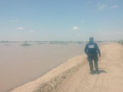 La policía estatal localizó a los migrantes, quienes fueron abandonados en los márgenes del río Bravo. TWITTER/FuerzaCoahuila