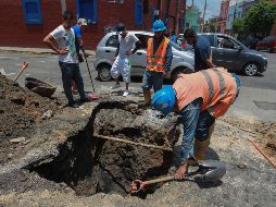 Los trabajos serán este 23 de mayo y los cortes serán a partir de las 8:00 hasta las 12:00 horas del jueves. EL INFORMADOR / ARCHIVO