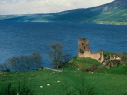 Extraerán el código genético que se encuentra en las aguas del lago y que consiste en pequeños fragmentos que dejan las criaturas al nadar como trozos de piel y escamas. AP