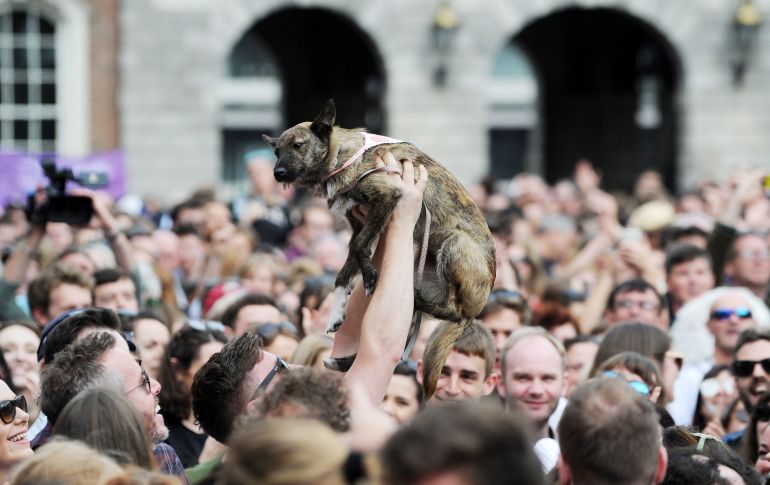 Esta es una decisión histórica en un país con fuertes raíces católicas. EFE/ A. Crawley
