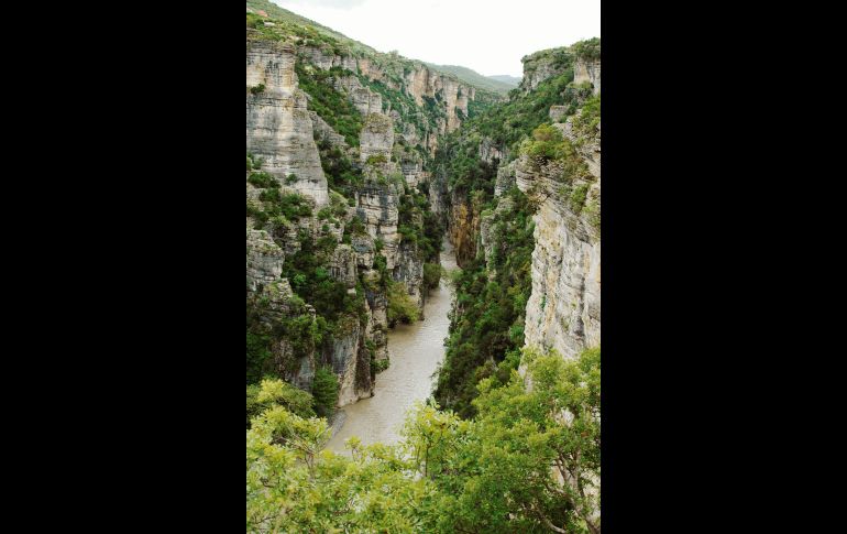 Las opciones son innumerables y pueden contentar todos los gustos. EFE